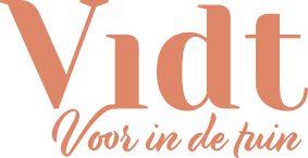 Vidt