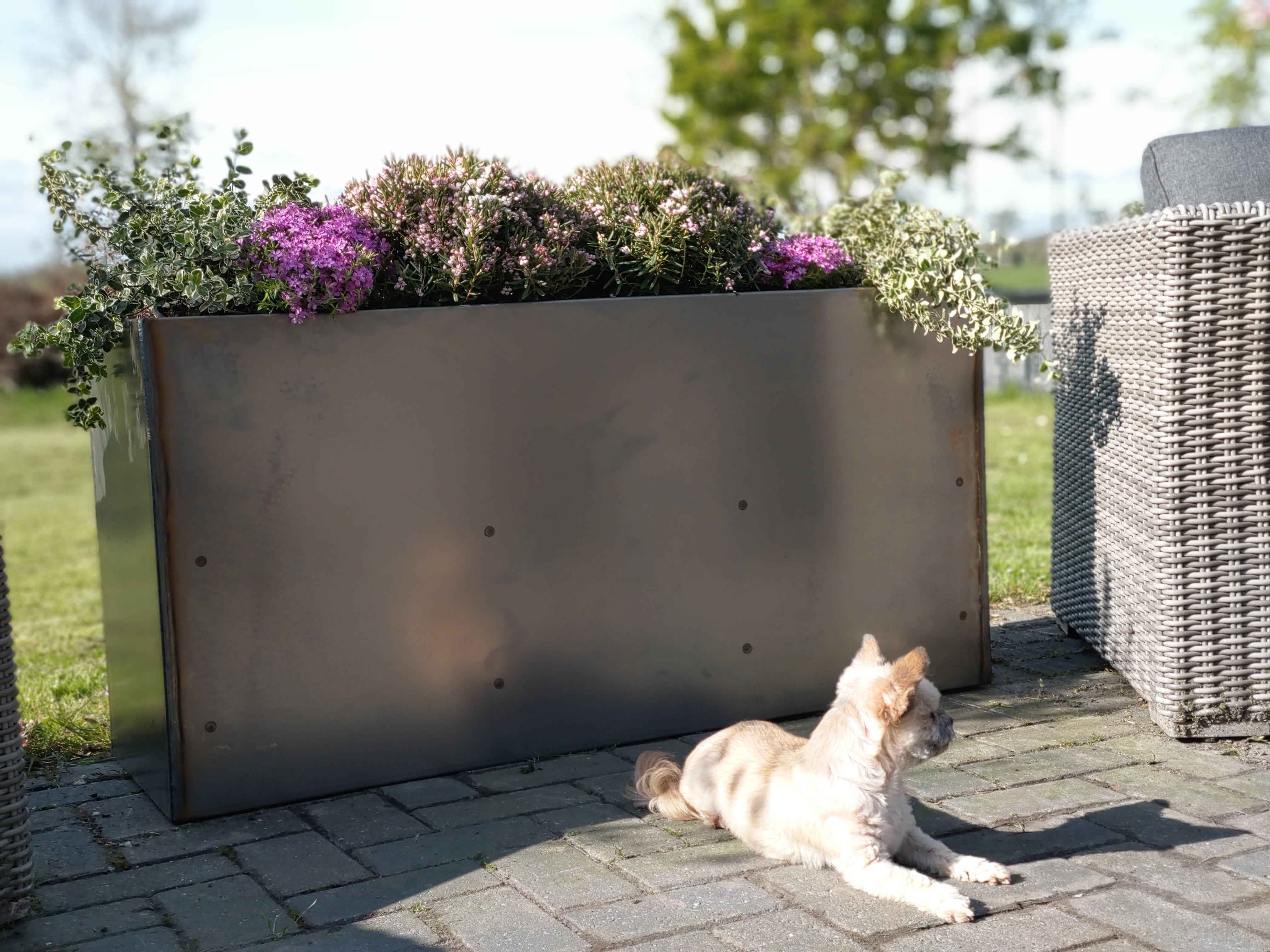 VIDT Flora Rectangular