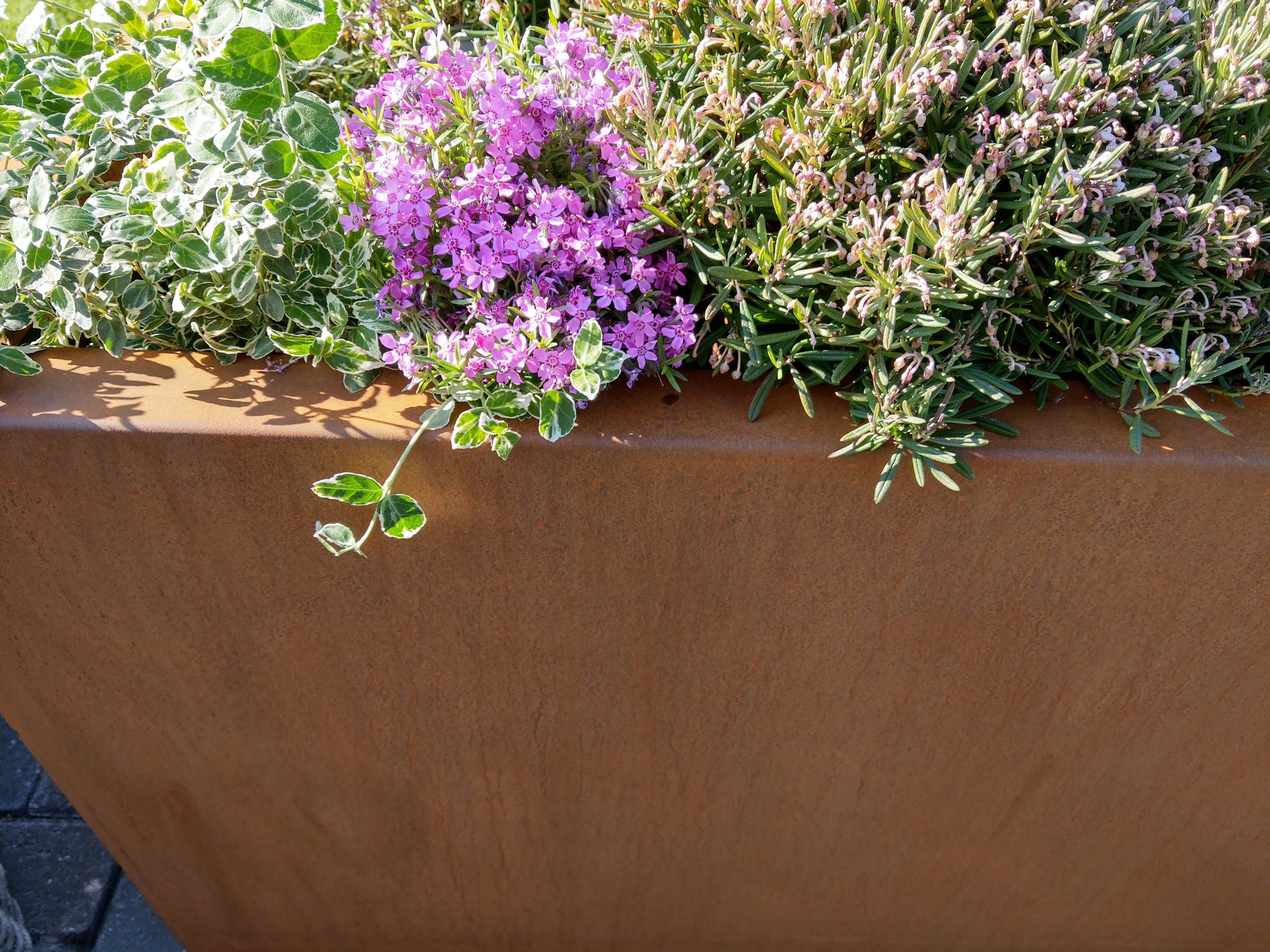 VIDT Flora Rectangular